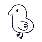 The mystery of bird