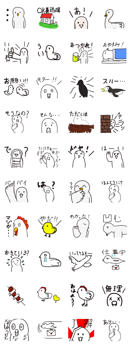The mystery of bird