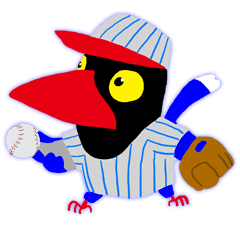 台灣藍鵲玩棒球