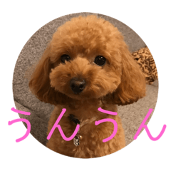 vivi_20200630001827