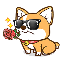 Corgi: Lin CoCo Daily 2