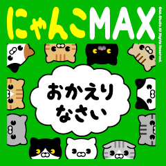 Cat MAX1 (deca character)