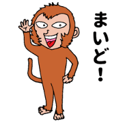 Kansai monkey