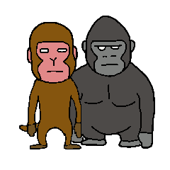 Monkey and Gorilla