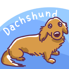 I Love Dachshund (Pop)