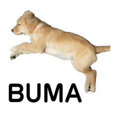 BuBu生活-第四季