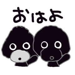 黒ぷーのku&moco
