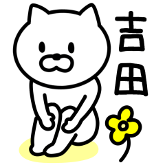 CAT for YOSHIDA