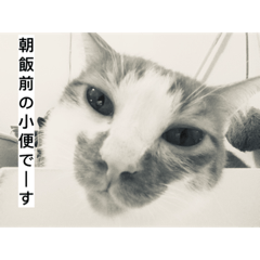 楽殿デース