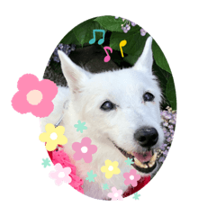 yukari_20200630162818