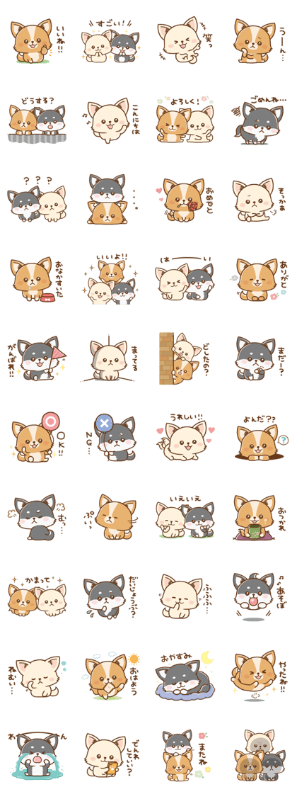 Lovely chihuahua stickers