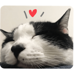 ASUKA_20200630172942