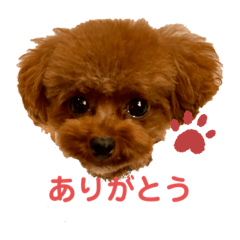 ayumi_20200630193607