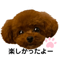 ayumi_20200630213353