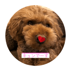 Nanami_20200630221230