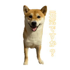 risa_20200630233600