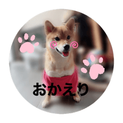 ayano_20200701003144