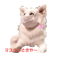 愛犬陸