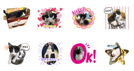 白黒猫ちゃん Lineクリエイターズスタンプ Stamplist