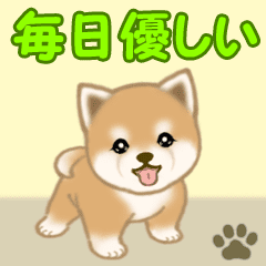 よちよち豆柴 毎日優しいスタンプ Line スタンプ Line Store よちよち豆柴 毎日優しいスタンプ Line スタンプ Line Store