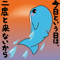 Dolphin Koo-chan<everyday conversation4>