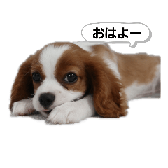 suzu_20200701123032