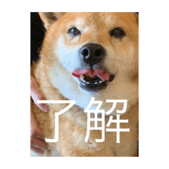 Ken_20200630232322