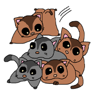 momongaxa