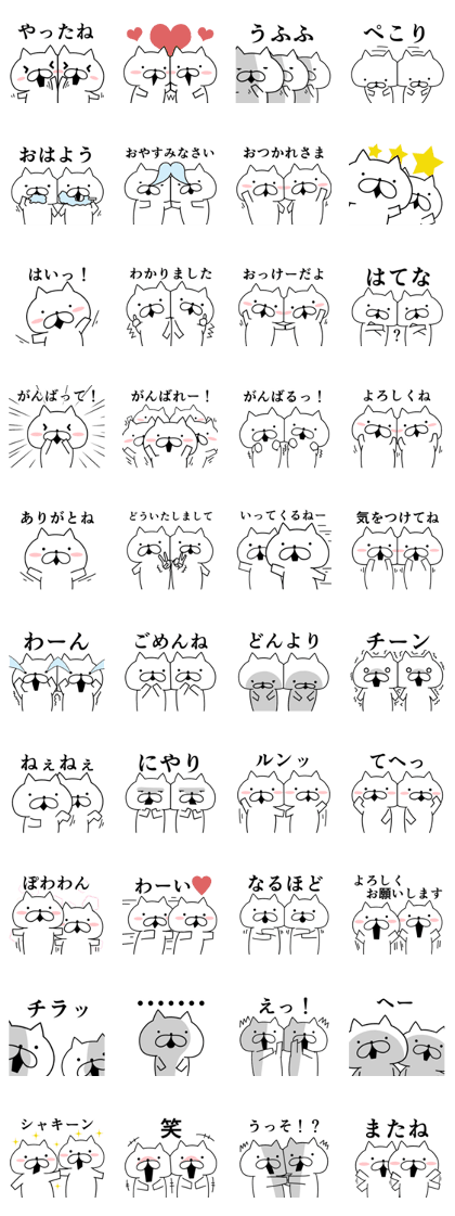 Daily use cats