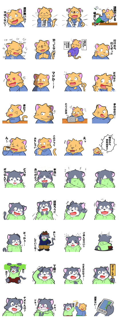 Daily cat college students