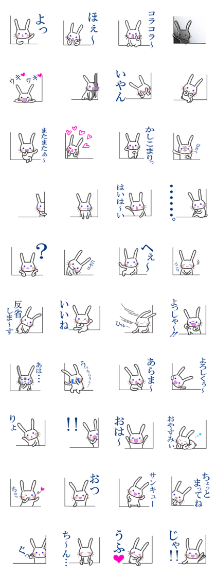 Purple eyes rabbit