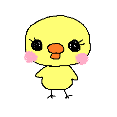 PIPIKO of a chick