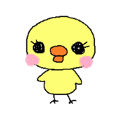 PIPIKO of a chick