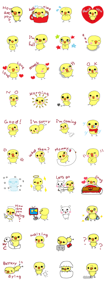 PIPIKO of a chick