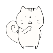 cat and squirrel
