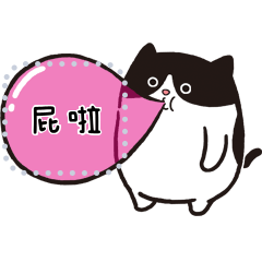 Fat Cat's Everyday(Message Stickers)