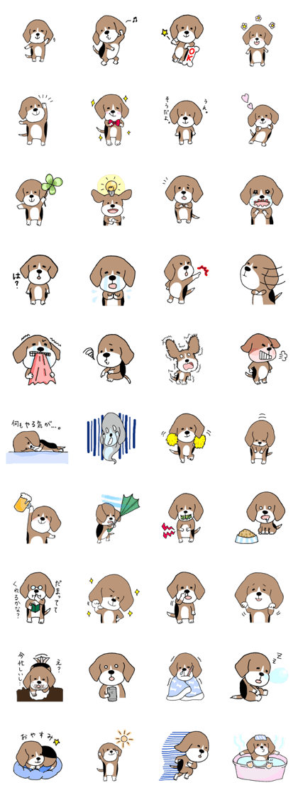 Beagle dog bob
