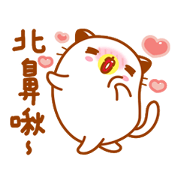 Niu Niu Cat 7