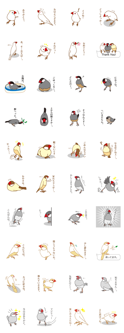 Daily Java sparrow!