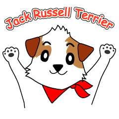 Jack Russell terrier cherry