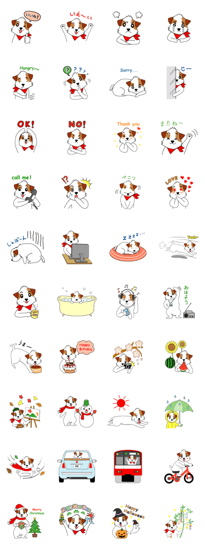 Jack Russell terrier cherry