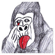 Gorilla of the gorilla