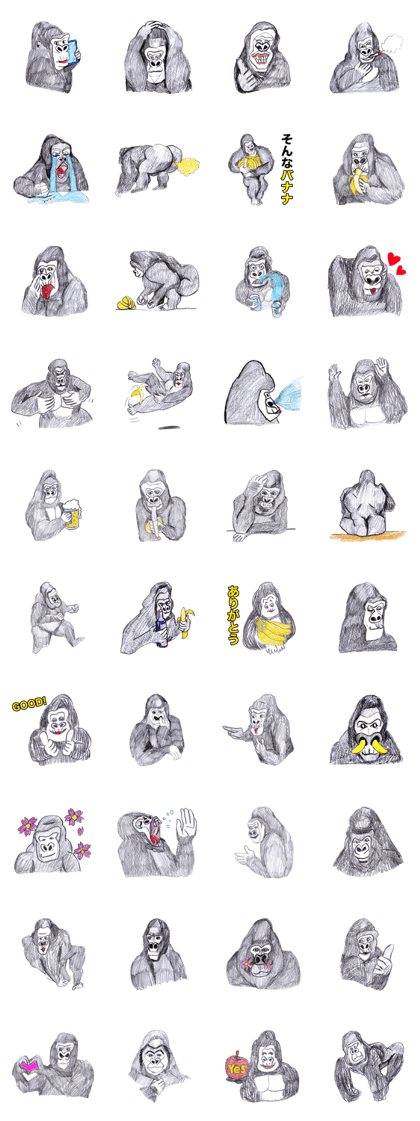 Gorilla of the gorilla