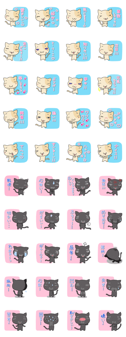 Positive negative cat.