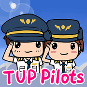 Pilot's Dairy