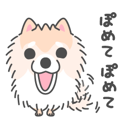 Pomeranian Sticker of Pomeru every day