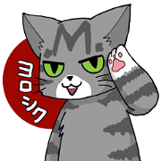 Grey striped cat
