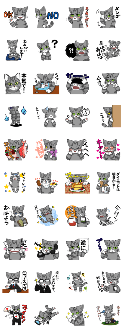 Grey striped cat