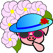 cute hog