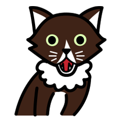 Brown cat TAWASHI